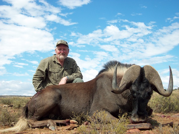 black_wildebeest_white_tail_gnu.jpg black_wildebeest_white_tail_gnu.jpg