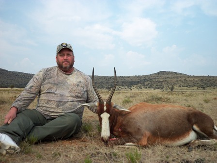 blesbok_female_safari.jpg blesbok_female_safari.jpg