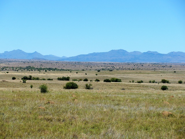 safari_hunting_plains.jpg safari_hunting_plains.jpg