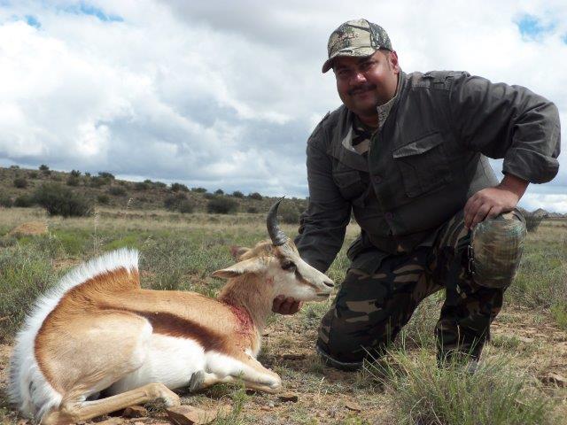 springbok_cull_hunting.jpg springbok_cull_hunting.jpg