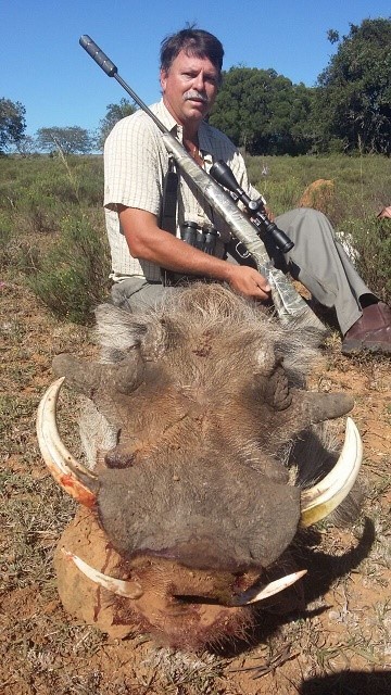 Warthog boar hunted warthog boar hunted on a Barry Podesta hunting Safaris